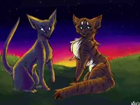 Crowfeather/Leafpool: Worry About You