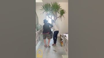 6 cách trồng cây lớn trong nhà dễ sống #nhadep #trongcaytrongnha #trongcay #khonggianxanh #xuhuong