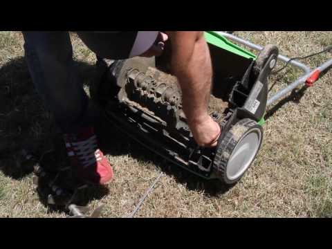 ჩემი ეზო - გაზონების მოწყობა და მოვლა