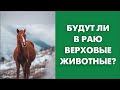 Будут ли в раю верховые животные?