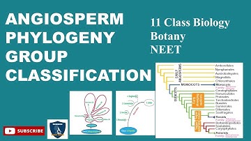 Angiosperm Phylogeny Group  Classification  | Taxonomy & Systematic Botany I BotanyI Class 11 | NEET