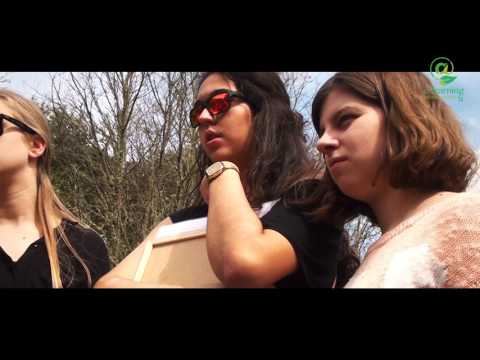 Enature Nogueira Flora Youtube