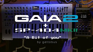 SP-404mkII + GAIA 2  &quot;A bit of you&quot;  a song by gattobus