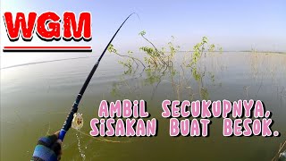 WGM TERBARU‼️ Susah kalo diajak gabluk, dijamin bahagia ikan dimana-mana #mancing #nila