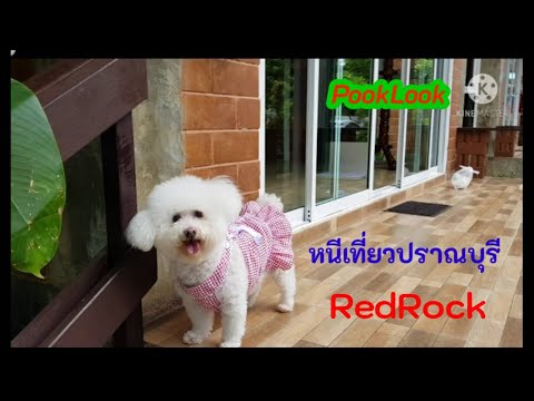 หนีเที่ยวปราณบุรี RedRock | PookLook