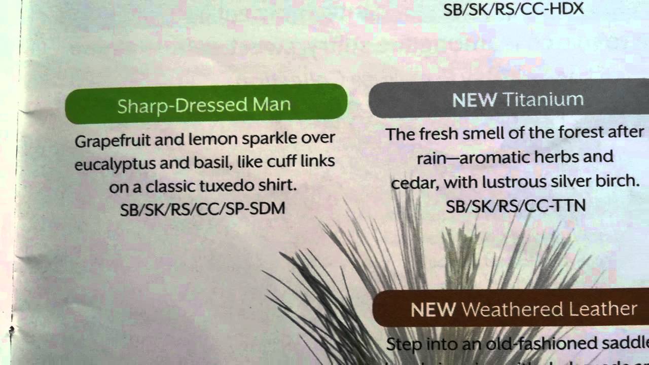 "scentstand"| "candle scent products"| "the scented candles"| Kara Egan |"Scentsy.net"|Colorado