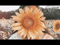Temka Tango Lyrics Video Temka Tango Lyrics Video