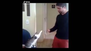 watch the end 😱😱   with Music Parado no Bailão   MC L da Vinte & MC Gury