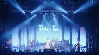 Plastic Tree「Peep Plastic Partition #23 ナショナルキッド」