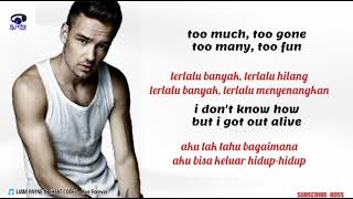 Liam Payne - Live Forever ( lirik lagu dan terjemahan Indonesia )