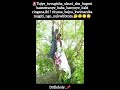 Umuntu Wajyiriye Aba Bageni Inama Yokurira Igiti Numwana Mubi Kbx Ubuse Ahanutse Akavunika ЁЯдМЁЯШВ Umuntu Wajyiriye Aba Bageni Inama Yokurira Igiti Numwana Mubi Kbx Ubuse Ahanutse Akavunika ЁЯдМЁЯШВ