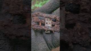 ww1 russian bunker excavation from rigasfrontline easternfront #german #ww1 #digging #deus #ww2