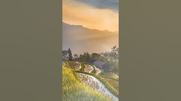 سورة الفاتحة بصوت ملاكي