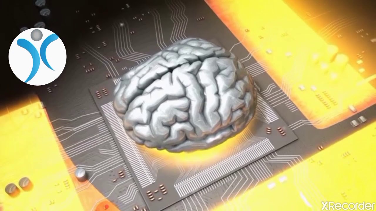 Consideraciones funcionales. Cerebro. YouTube