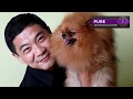 Mengenal Anjing Pomeranian + Tips Perawatannya Oleh Highlander Kennel の動画、YouTube動画。