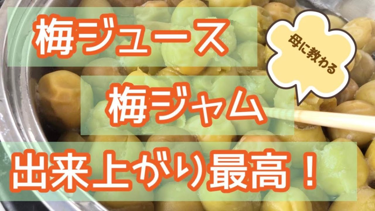 必見] 母が作った梅ジュースと梅ジャムが美味しすぎた！ - YouTube