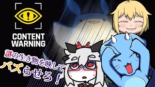 【Content Warning】バズらないと活動停止する配信者達の命がけの映像がコチラ