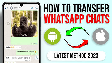 Move to iOS not Working? BEST Alternative Here (without factory reset iPhone) | iToolab WatsGo