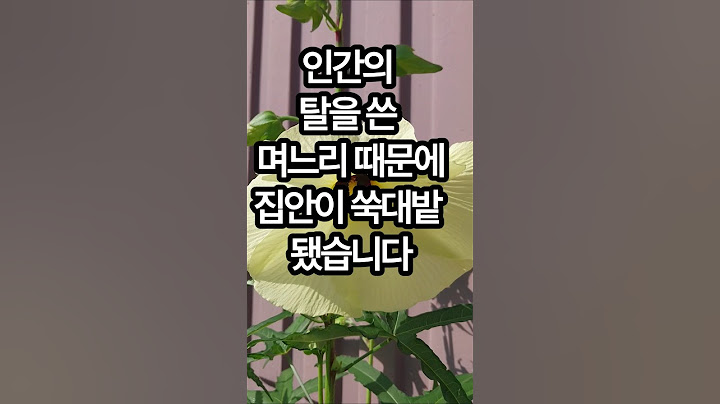 인간의 탈을 쓴 며느리 한 명이 집안을 쑥대밭 만드네요 #추석 #명절 #한가위 #시댁썰 #시어머니썰 #남편썰 #아내썰