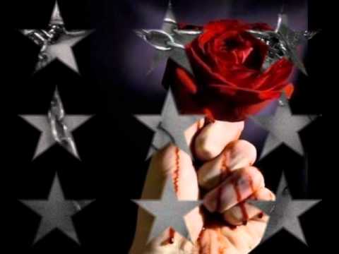 0598613260 تامر عاشور معلش