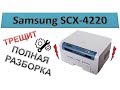 #60 Принтер Samsung SCX 4220 / 4200 / 4100 треск при печати / замятие бумаги | ПОЛНАЯ РАЗБОРКА