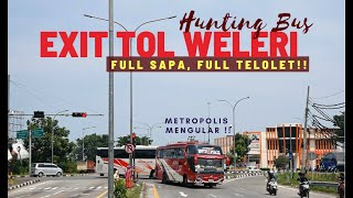 FULL TELOLET || Hunting Bus Angkatan Pagi di Exit Tol Weleri‼️