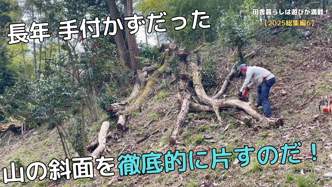 【2025総集編#6】長年手付かずだった 山の斜面を徹底的に片すのだ！