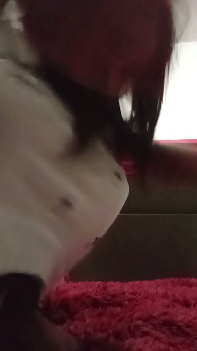 31 de março de 2025