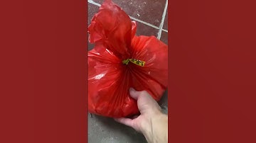 Bộ combo vật liệu tạo khuôn silicon đúc composit, cách làm silicon #composite #khuôn #silicone