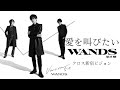 WANDS「愛を叫びたい」MV クロス新宿ビジョン 4K