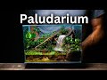 I made a paludarium with a working waterfall heres how