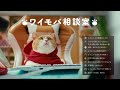 Y!mobile「ワイモバ相談室 スマホそのままでおトク」篇 15秒