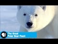 Polar Bear Behavior and Conservation