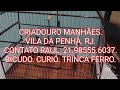 #bicudo #curio #trincaferro - CRIADOURO MANHÃES - BICUDO . CURIÓ. TRINCA FERRO ( FIBRA).