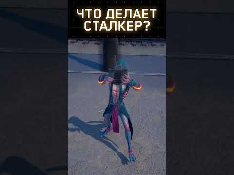 Видео: Что делает сталлер?