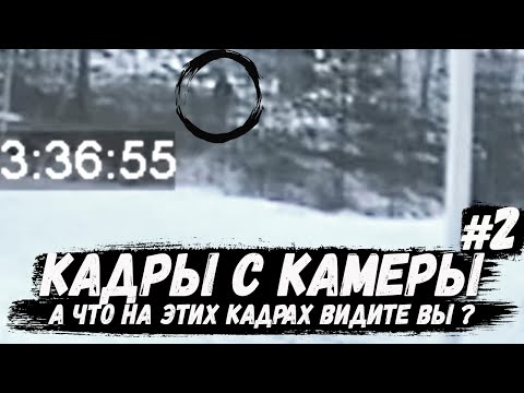 Кадры с камеры наблюдения #2. А что на этих кадрах видите вы? Игорь Гаврилов. Заправка Контокки