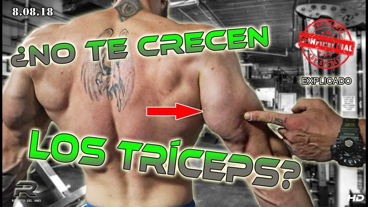 ENTRENAMIENTO BICEPS Y TRICEPS AL FALLO MUSCULAR