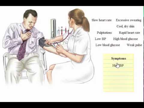 System Endocrine Respon To Stress