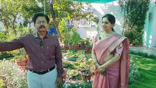 Garden Gappa|In conversation with Mrs Mamtatai and Dr.Gajanan Malokar Dada in their amazing garden.