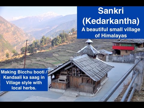 Sankri (Kedarkantha) - The beautiful base village of Kedarkanth, Lifestyle and food of locals.