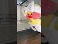 ЛАЛАФАНФАН УТОЧКА МИЛКА РАСПАКОВКА ПОСЫЛКИ ДЛЯ УТКИ #лалафанфан #duck #tiktok #уточка  #lalafanfan