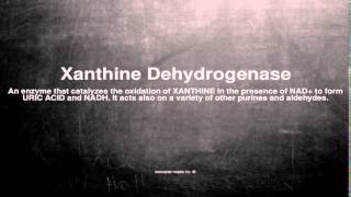 Medical Vocabulary What Does Xanthine Dehydrogenase Mean