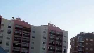 Sam 1421 Manhã De Céu Limpo