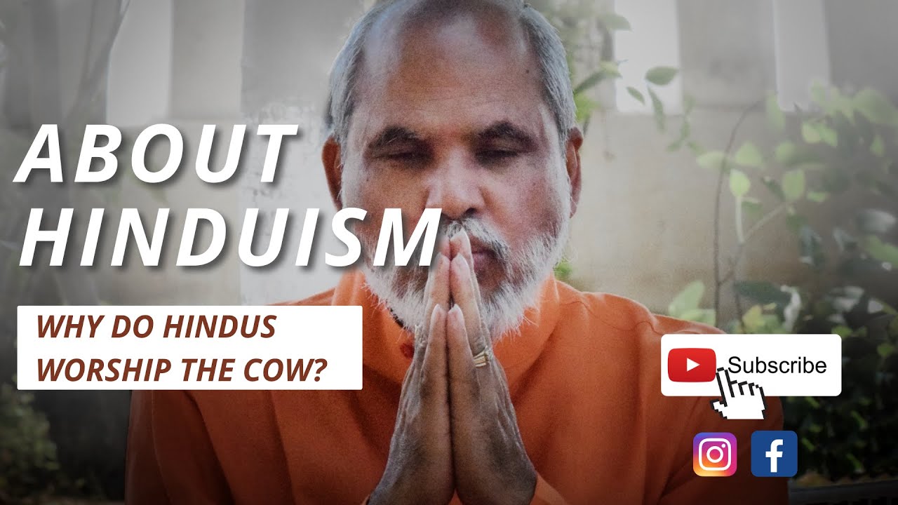 Why do Hindus worship the cow? Guru Bhaneshwaranand YouTube