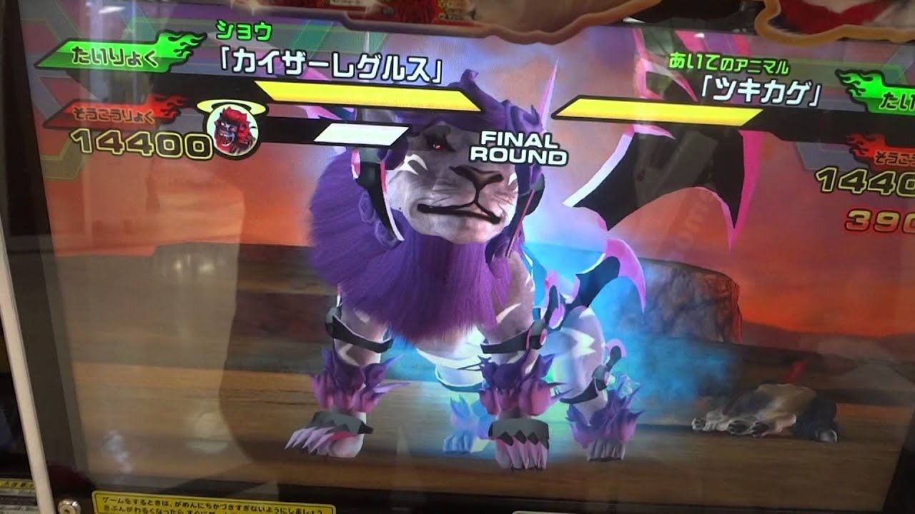 グレートアニマルカイザーゴッド５弾　VSツキカゲ