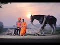 Pre wedding film 2024  lovepreet  manpreet  jassi photography sehna sikhwedding