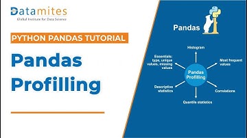 Exploratory Data Analysis with Pandas Profiling | Python Pandas Tutorial