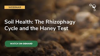 Soil Health  The Rhizophagy Cycle and the Haney Test