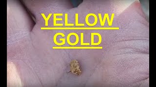 Gold Nugget Detecting In Arizona!