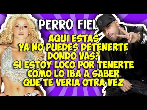 Shakira ft Nicky Jam -Perro fiel (Letra)